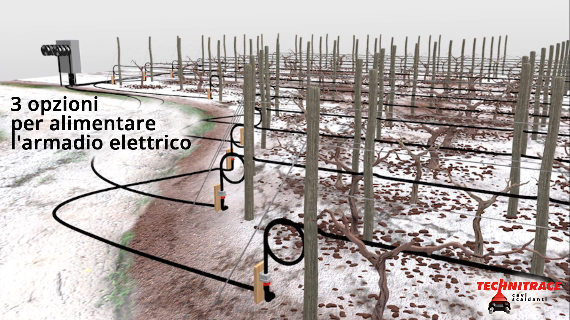 Cavo antighiaccio per vigneti – 3 opzioni per alimentare l’armadio elettrico – TECHNITRACE