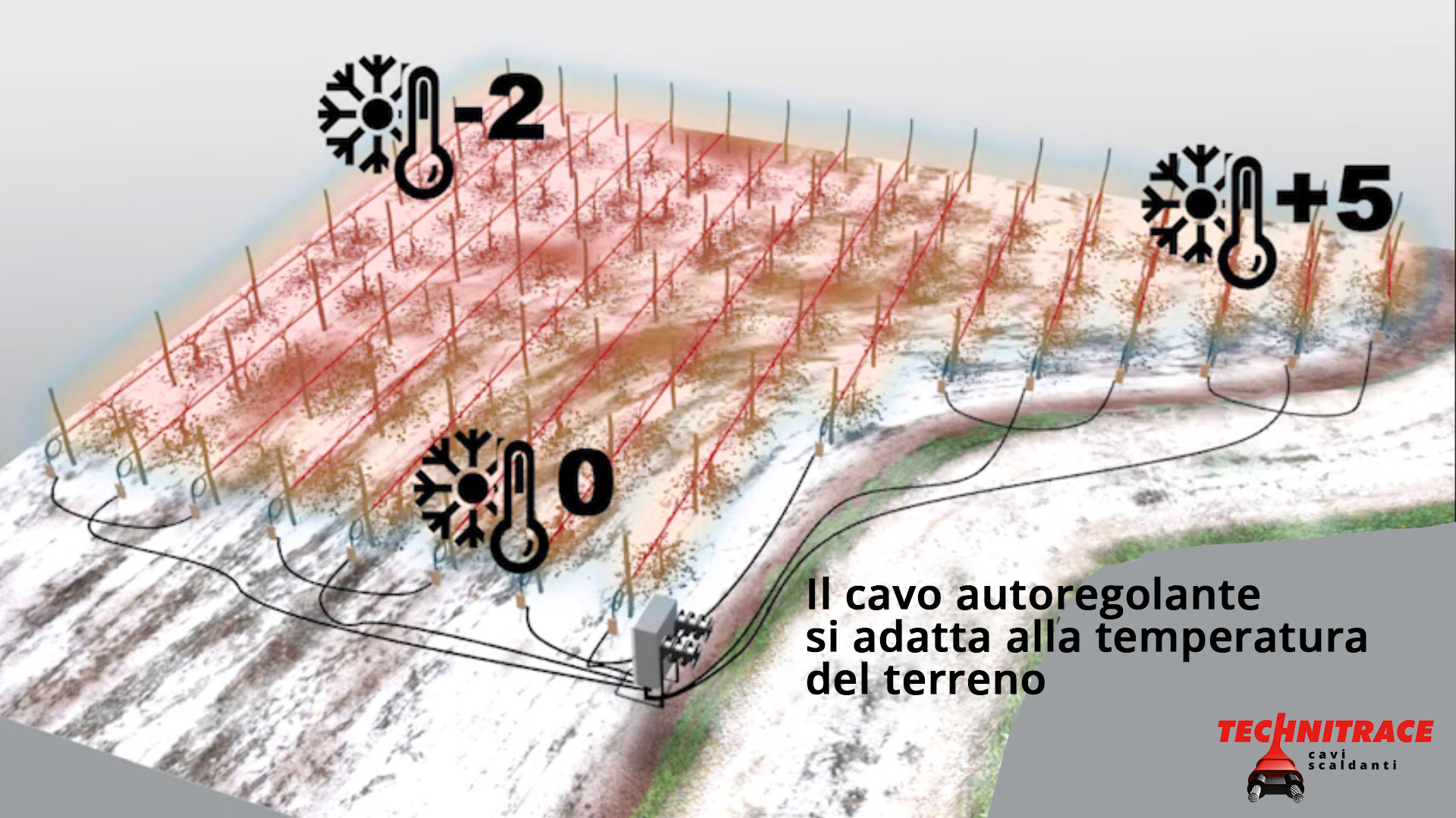 Cavo antighiaccio per vigneti – Il cavo autoregolante si adatta alla temperatura – TECHNITRACE