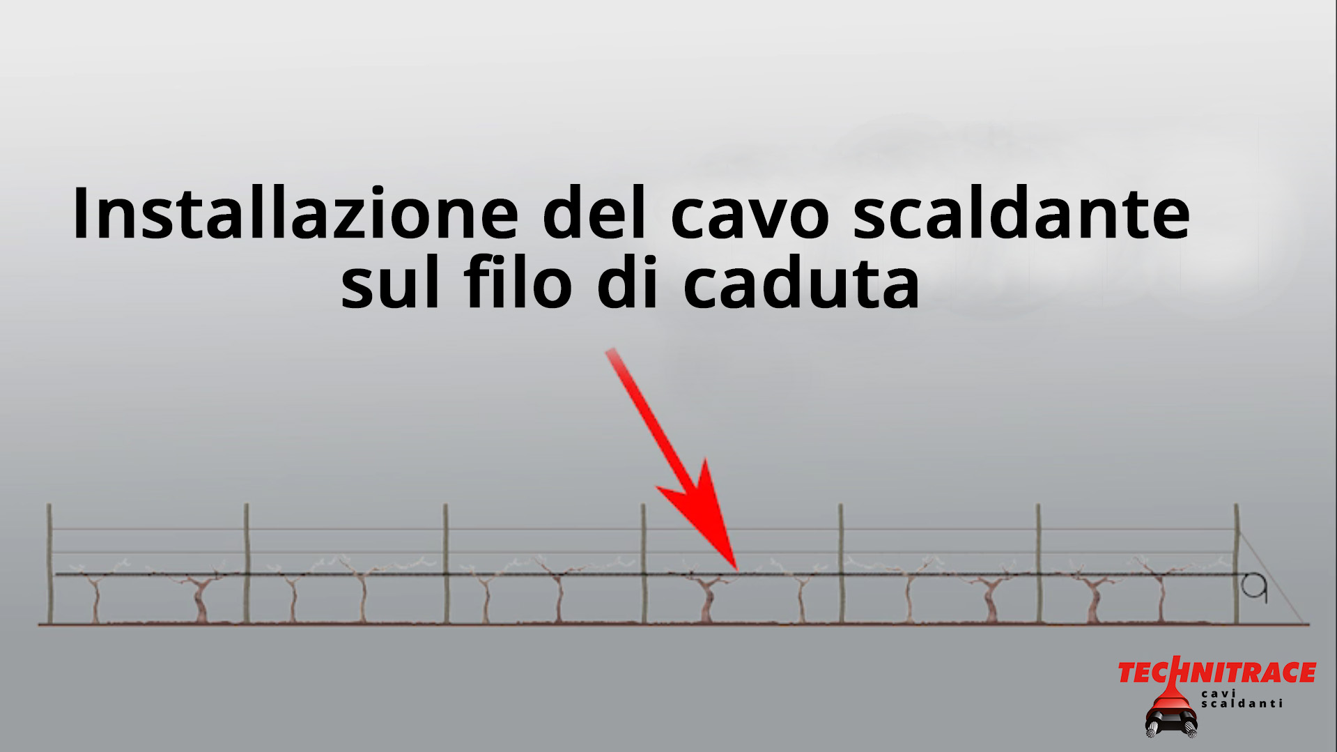 Cavo antighiaccio per vigneti – Installazione del cavo scaldante sul filo di caduta – TECHNITRACE